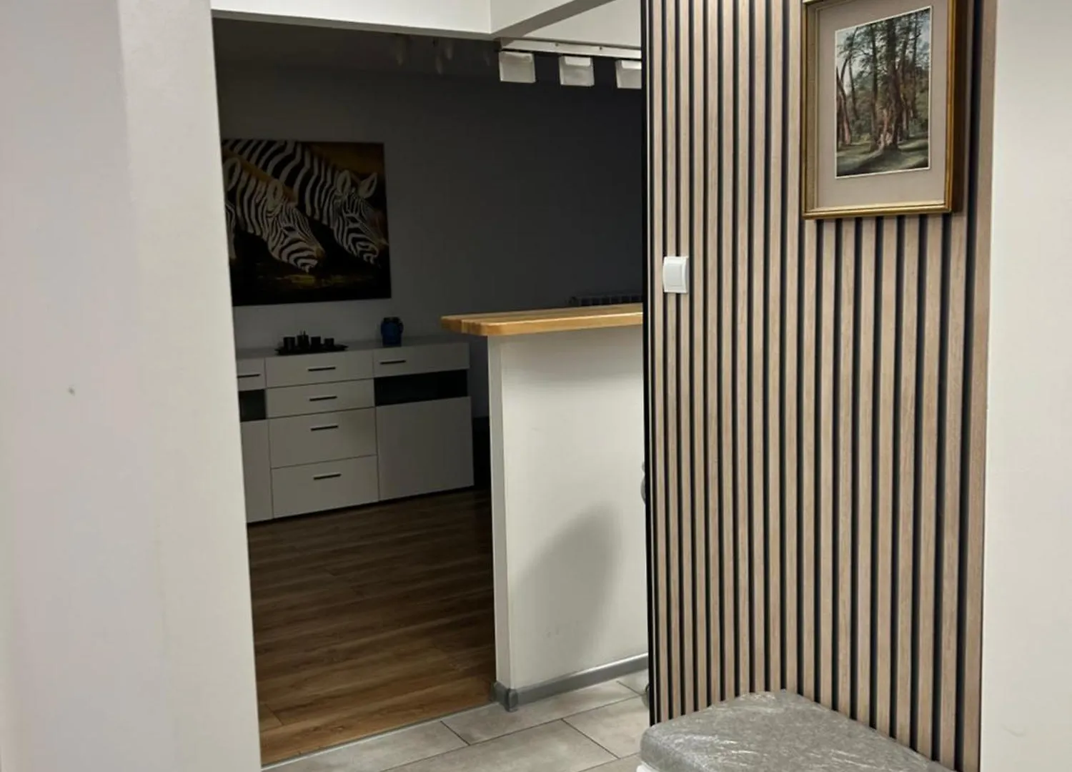 Apartament Wielunska Warsaw Apartment